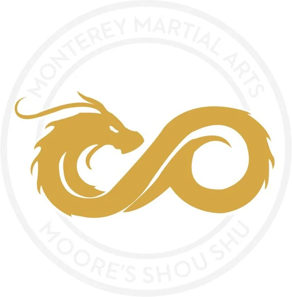 Monterey Martial Arts visual