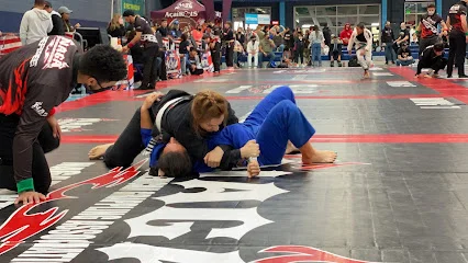 The Mats at Morales Brazilian Jiu Jitsu academy photo