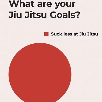 The Mats at Morales Brazilian Jiu Jitsu academy photo