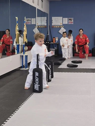 National Karate & Martial Arts academy photo
