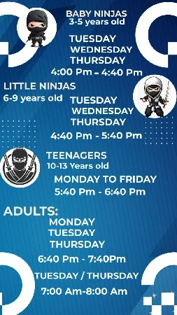 Netto Brazilian Jiu-Jitsu academy photo