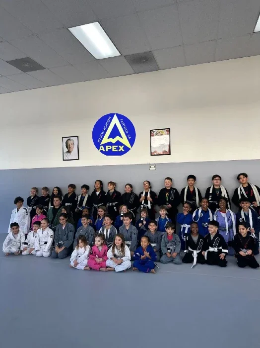 Netto Brazilian Jiu-Jitsu academy photo