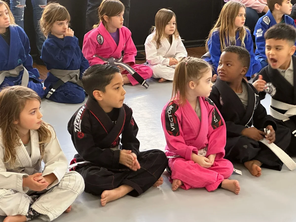 Netto Brazilian Jiu-Jitsu academy photo