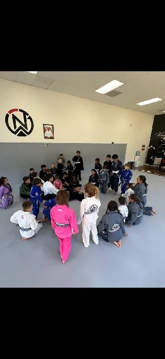 Netto Brazilian Jiu-Jitsu academy photo