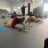 New Creation Wrestling and Jiu Jitsu LLC academy photo