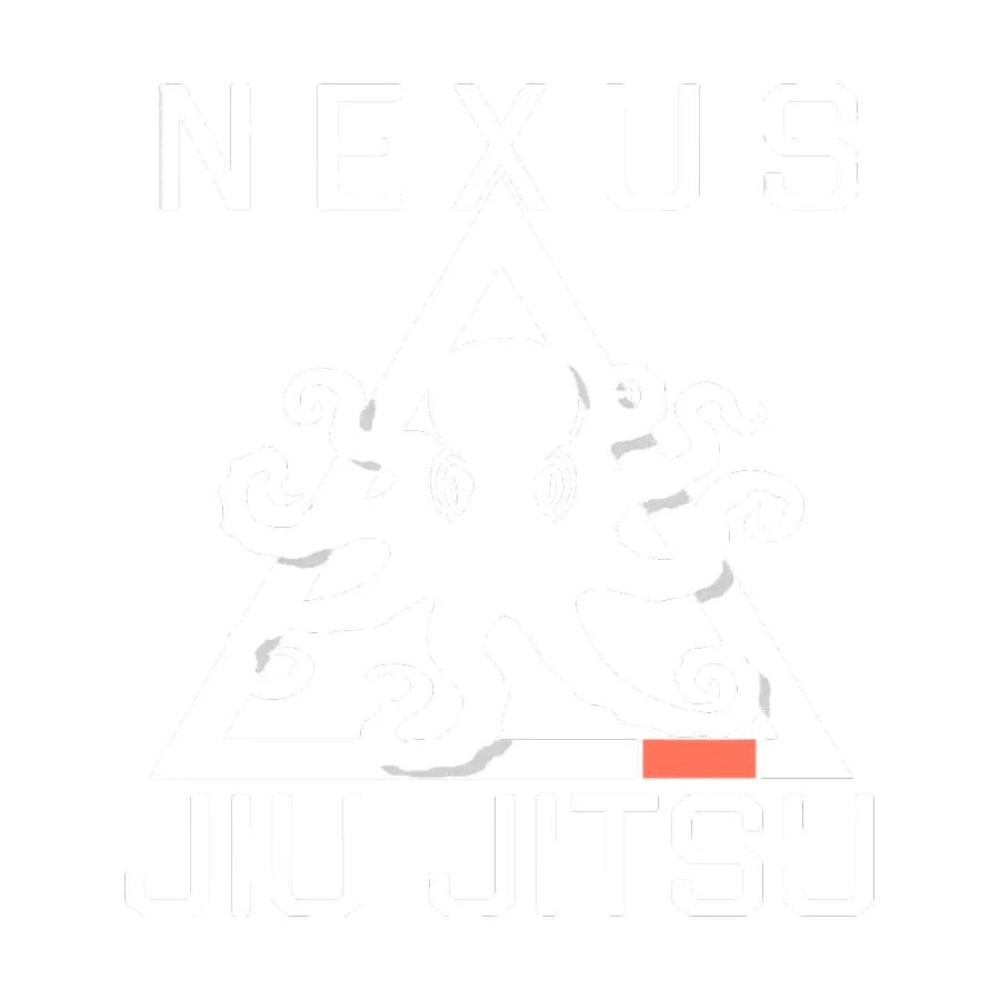 Nexus Jiu-Jitsu academy photo