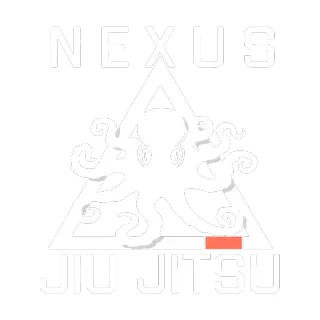 Nexus Jiu-Jitsu academy photo
