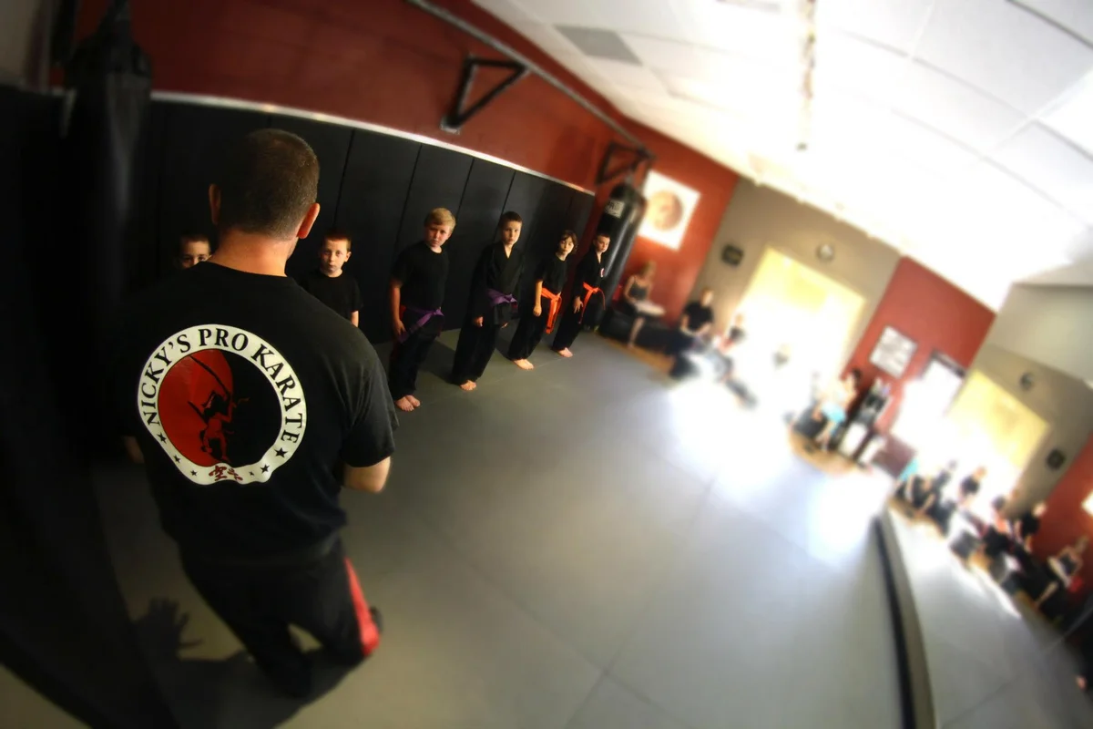 Nicky's Pro Karate academy photo