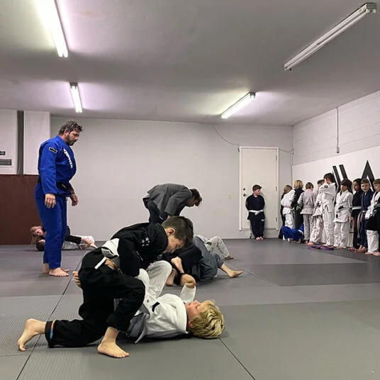 North Coast Jiu Jitsu (NCJJ) academy photo