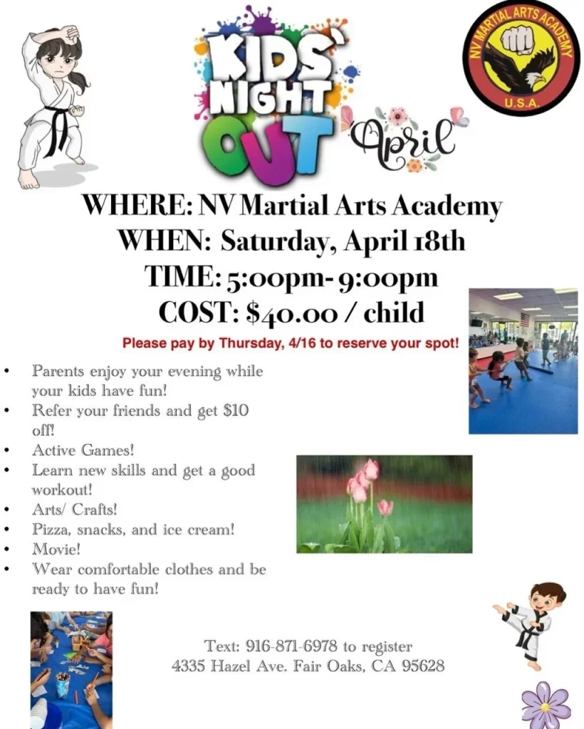 NV Martial Arts & Fitness Academy academy photo