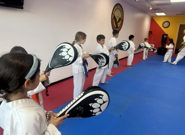 NV Martial Arts & Fitness Academy academy photo
