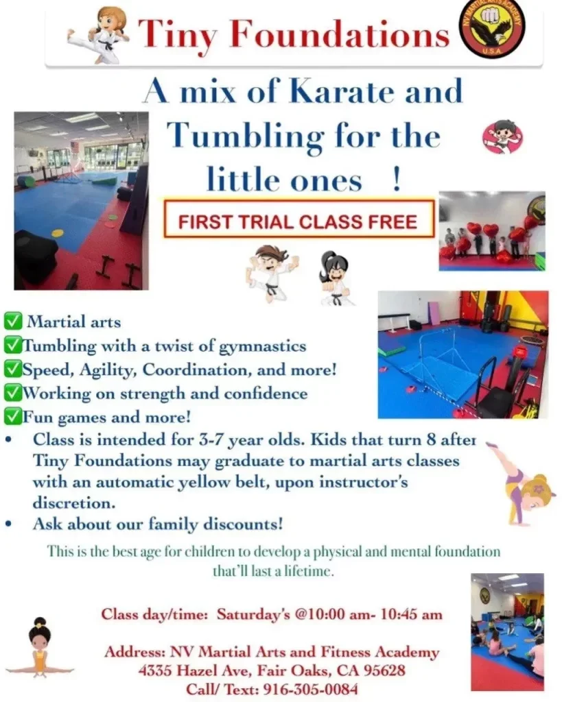 NV Martial Arts & Fitness Academy academy photo