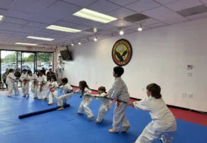 NV Martial Arts & Fitness Academy academy photo