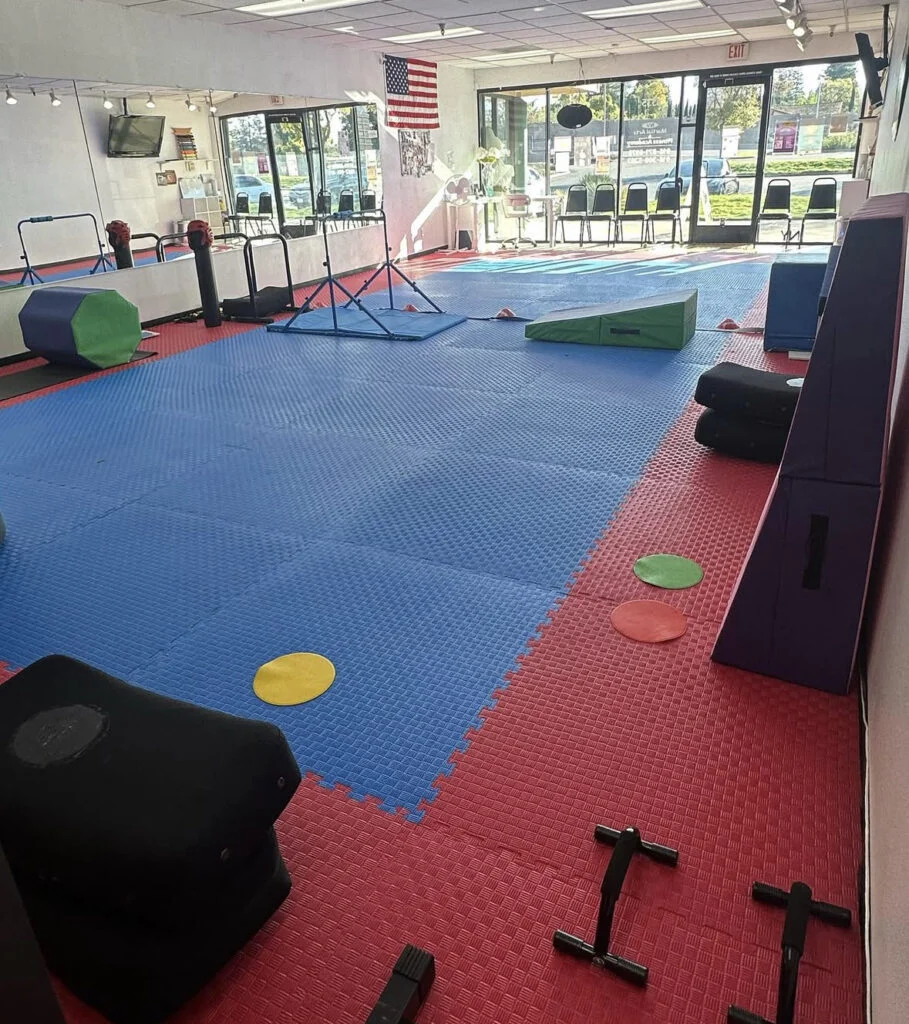NV Martial Arts & Fitness Academy academy photo