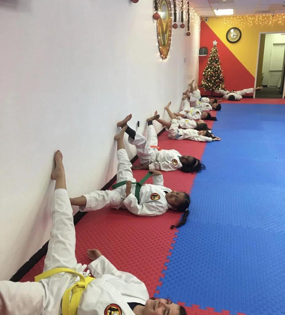 NV Martial Arts & Fitness Academy academy photo