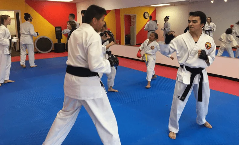 NV Martial Arts & Fitness Academy academy photo