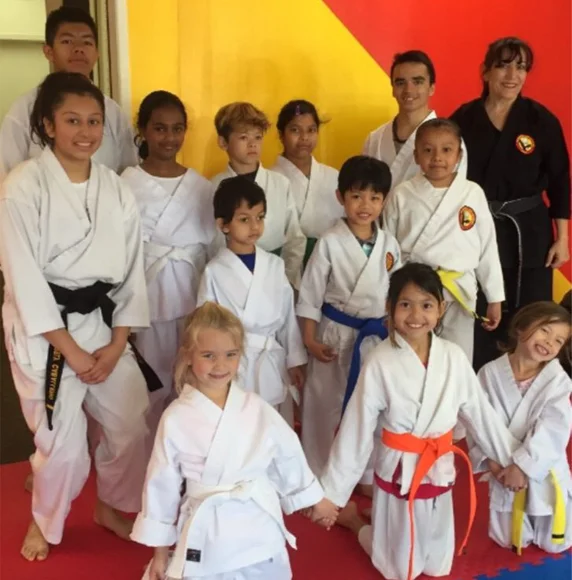 NV Martial Arts & Fitness Academy academy photo