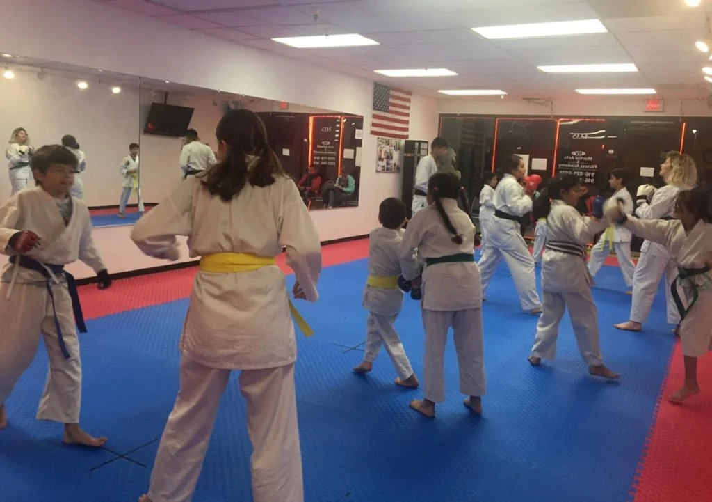 NV Martial Arts & Fitness Academy academy photo