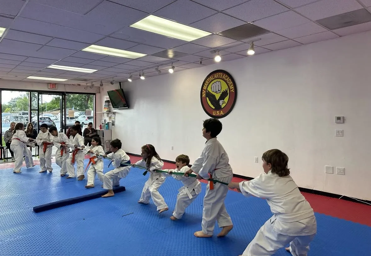 NV Martial Arts & Fitness Academy academy photo