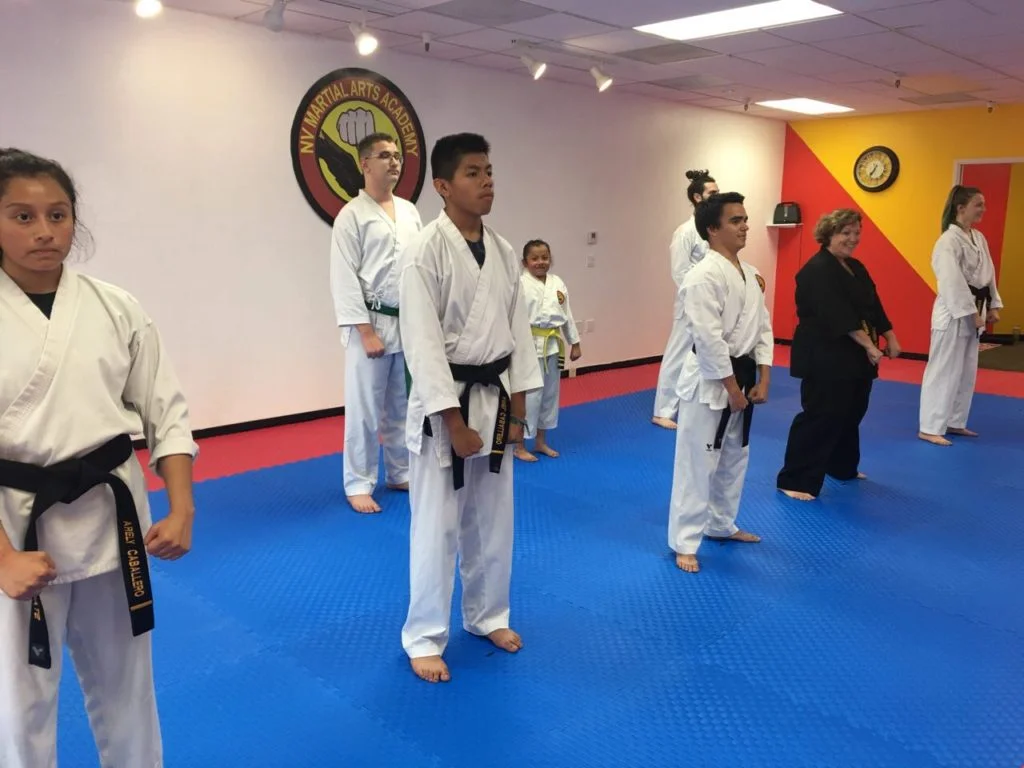 NV Martial Arts & Fitness Academy academy photo