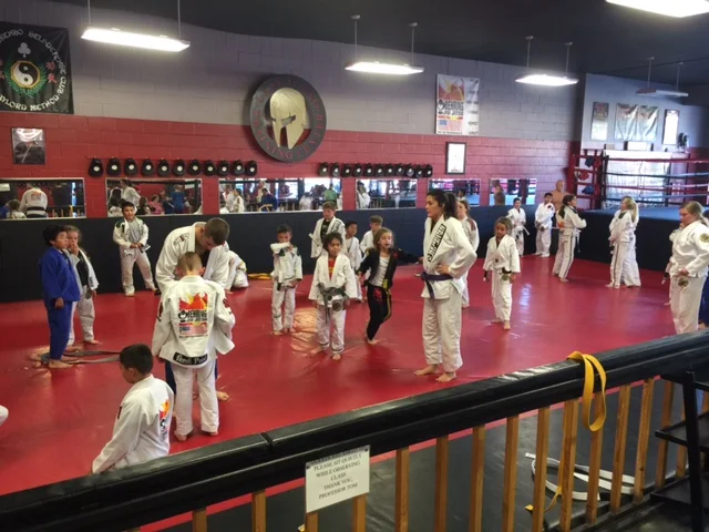 Oakdale MMA academy photo