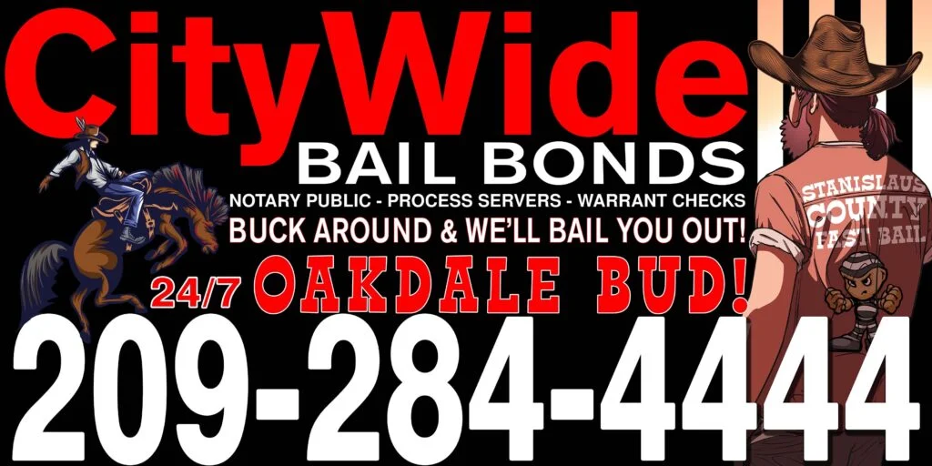 Oakdale MMA academy photo