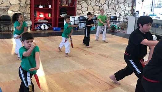 Panther Martial Arts Center academy logo