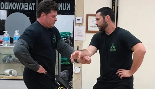 Panther Martial Arts Center academy photo