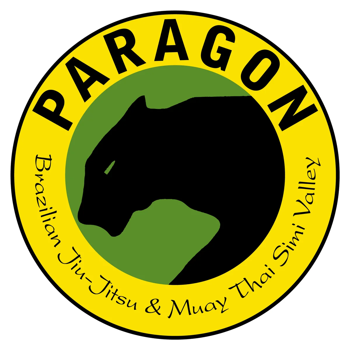 Paragon Jiu-Jitsu and Kickboxing academy photo