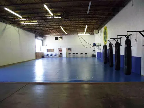 Paragon Jiu-Jitsu academy photo
