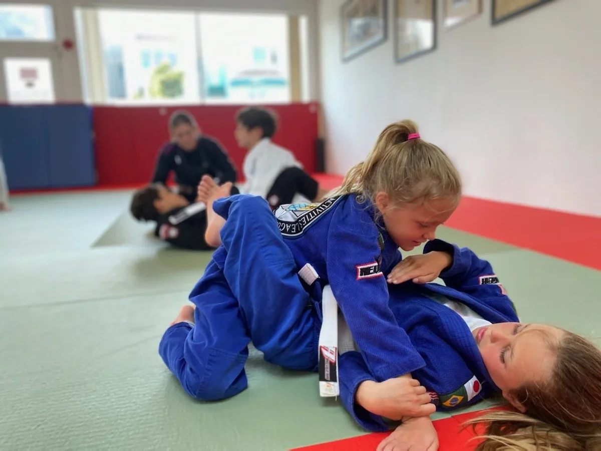 Parkside Jiu Jitsu visual