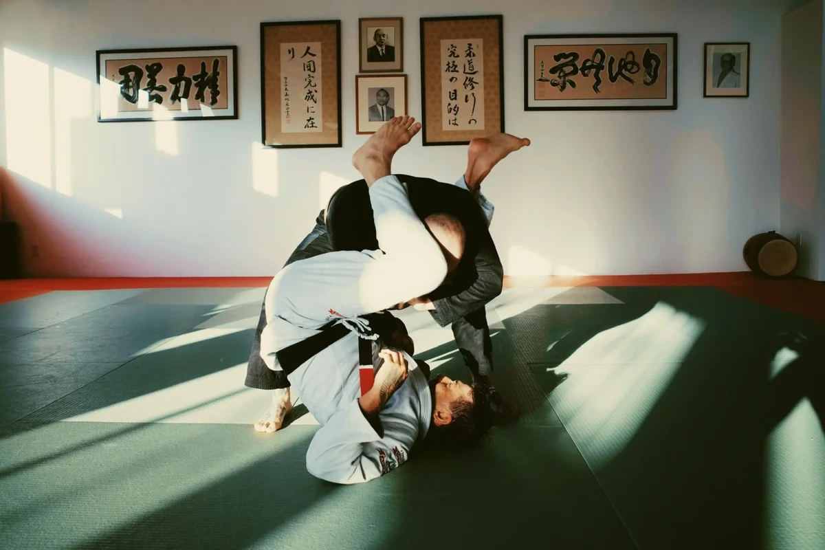 Parkside Jiu Jitsu academy logo