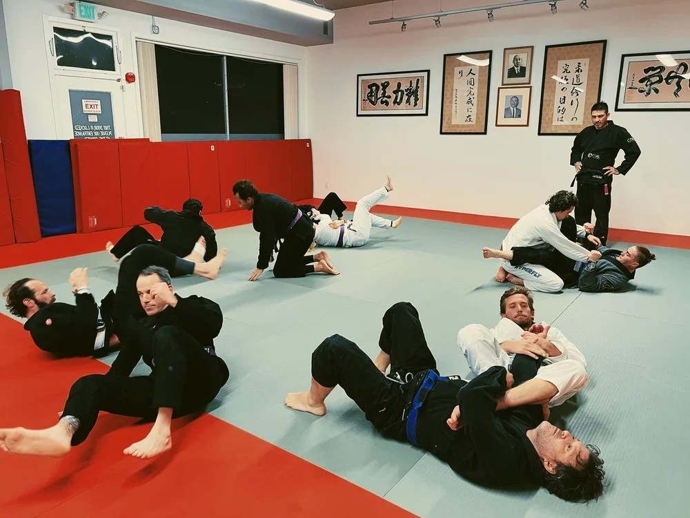 Parkside Jiu Jitsu academy photo