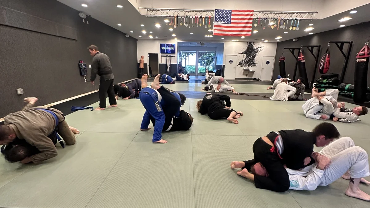 Peaceful Warrior JiuJitsu and Fitness academy logo