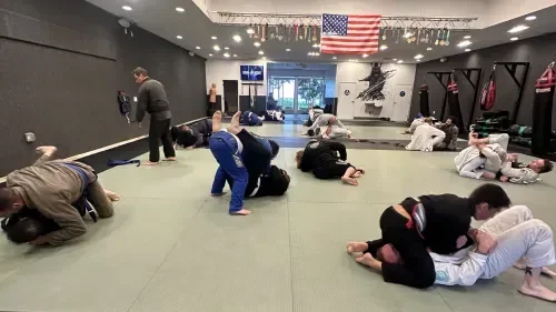 Peaceful Warrior JiuJitsu and Fitness academy photo