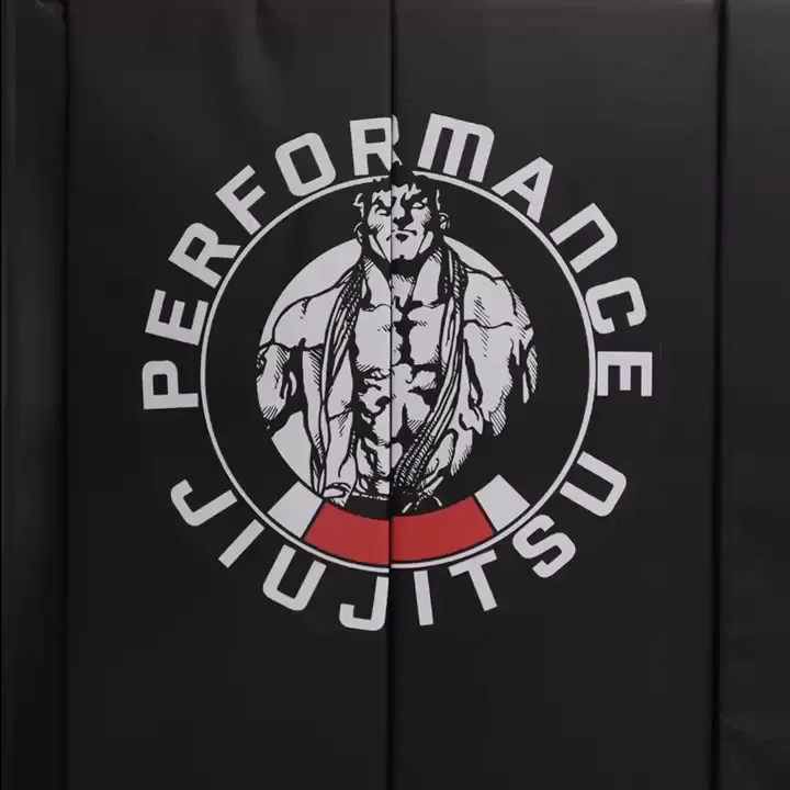Cobrinha Brazilian Jiu-Jitsu & Fitness facility image