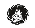Phillips Jiu Jitsu academy photo