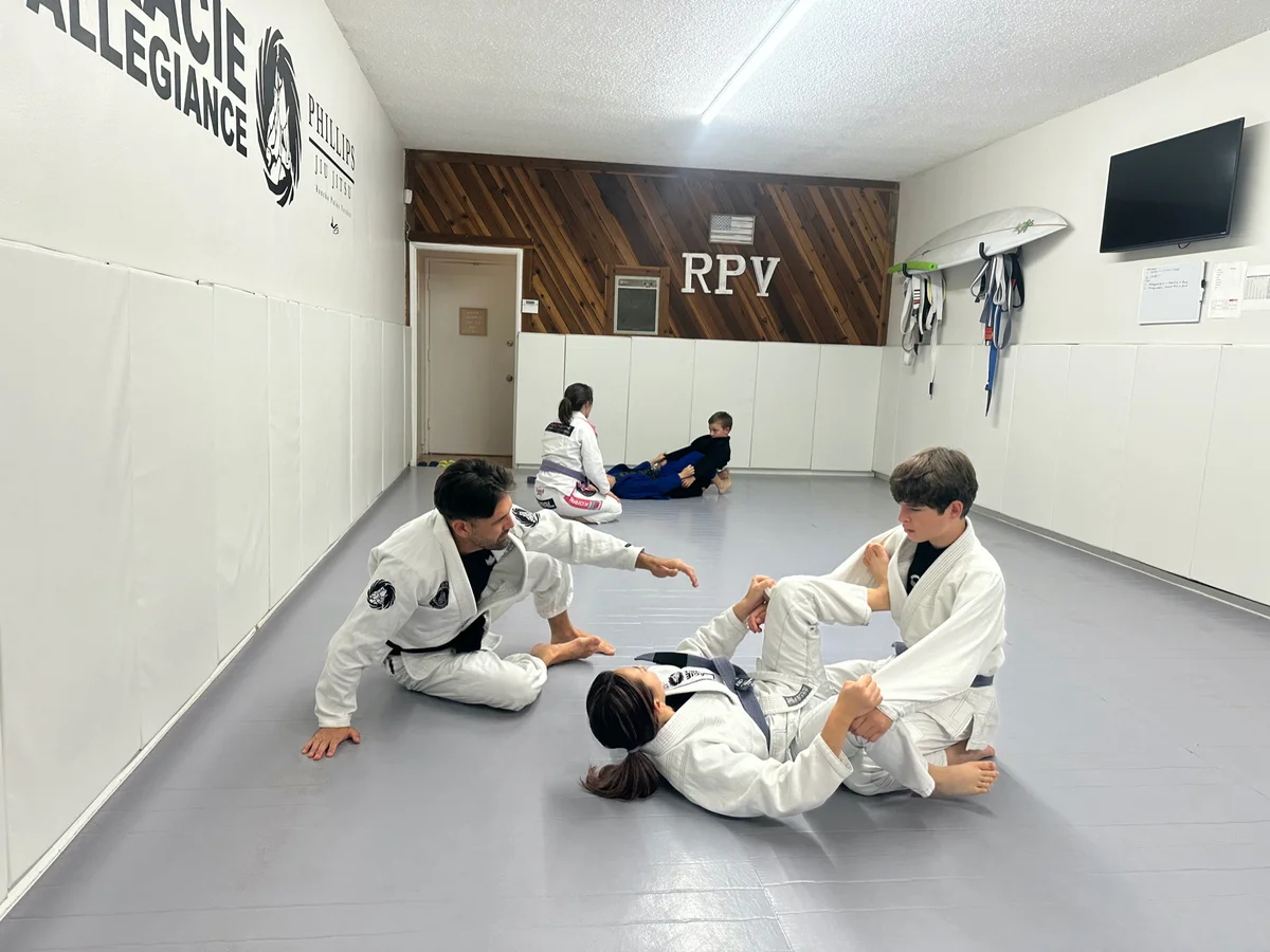 Phillips Jiu Jitsu visual