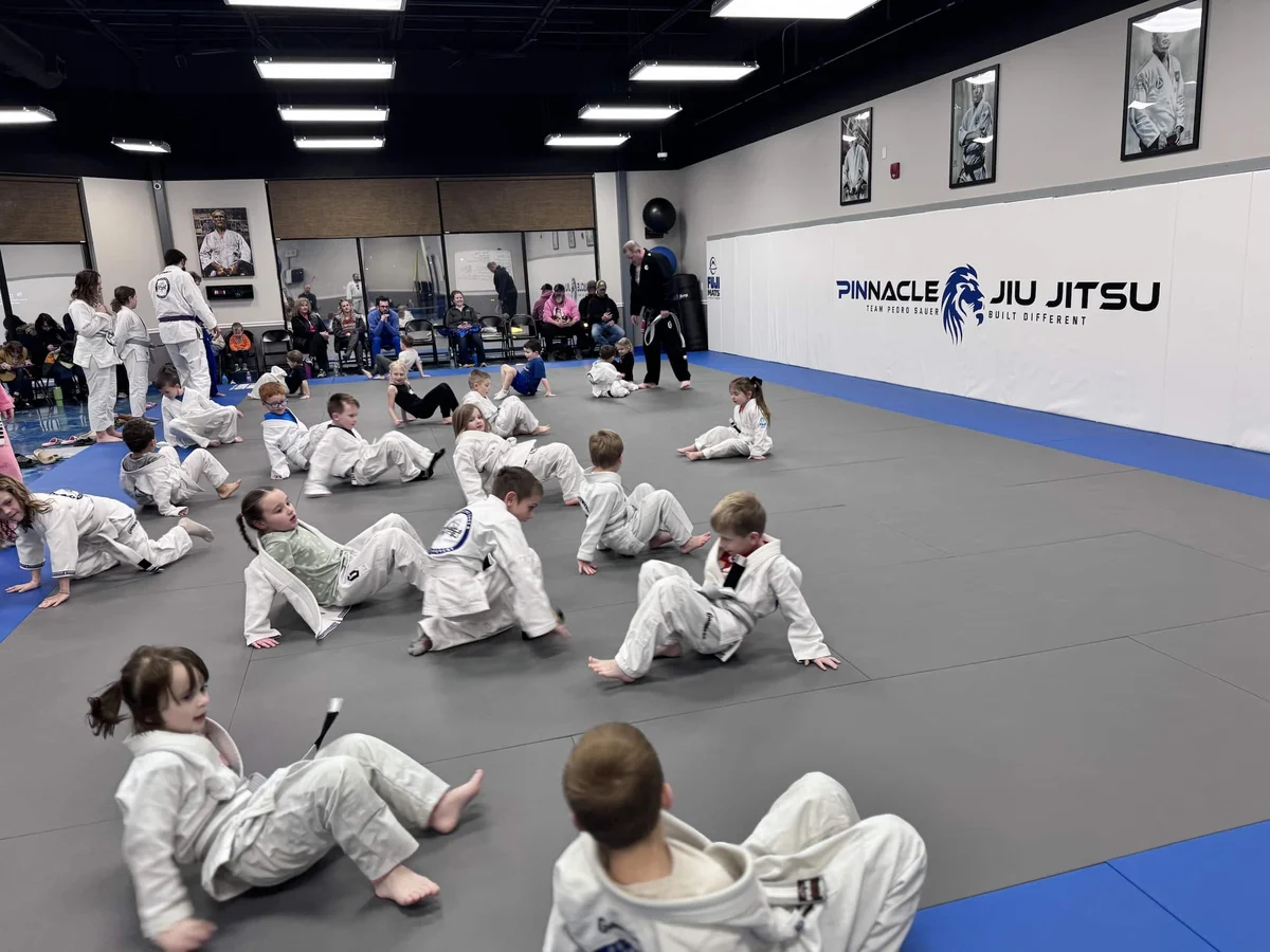 Pinnacle Jiu-Jitsu academy logo