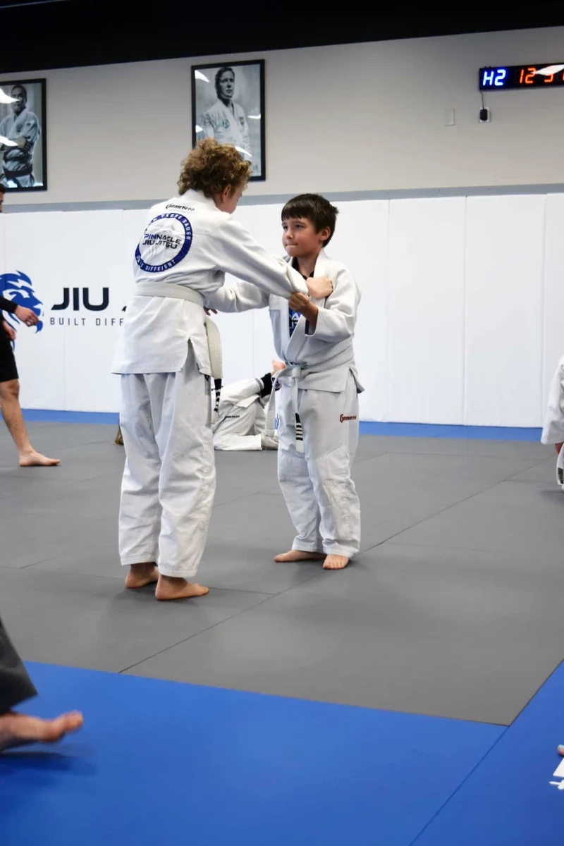 Pinnacle Jiu-Jitsu facility image