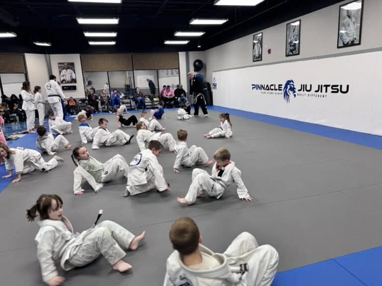 Pinnacle Jiu-Jitsu facility image