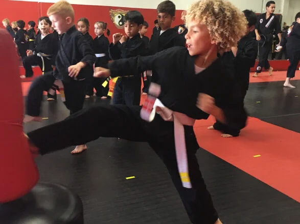 Power of One Martial Arts facility image