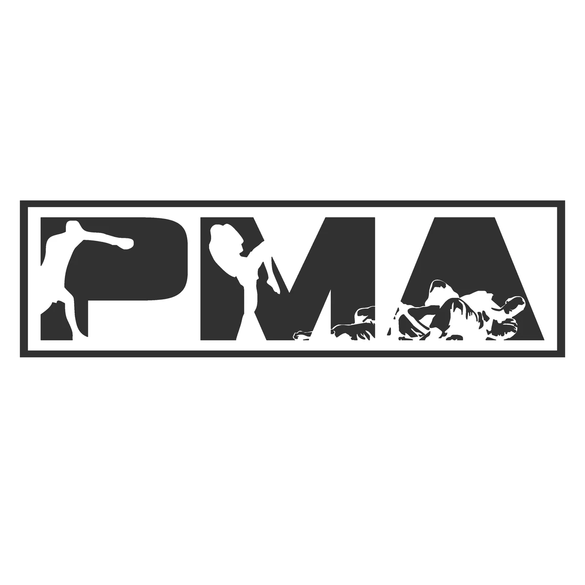 Practical Martial Arts academy logo