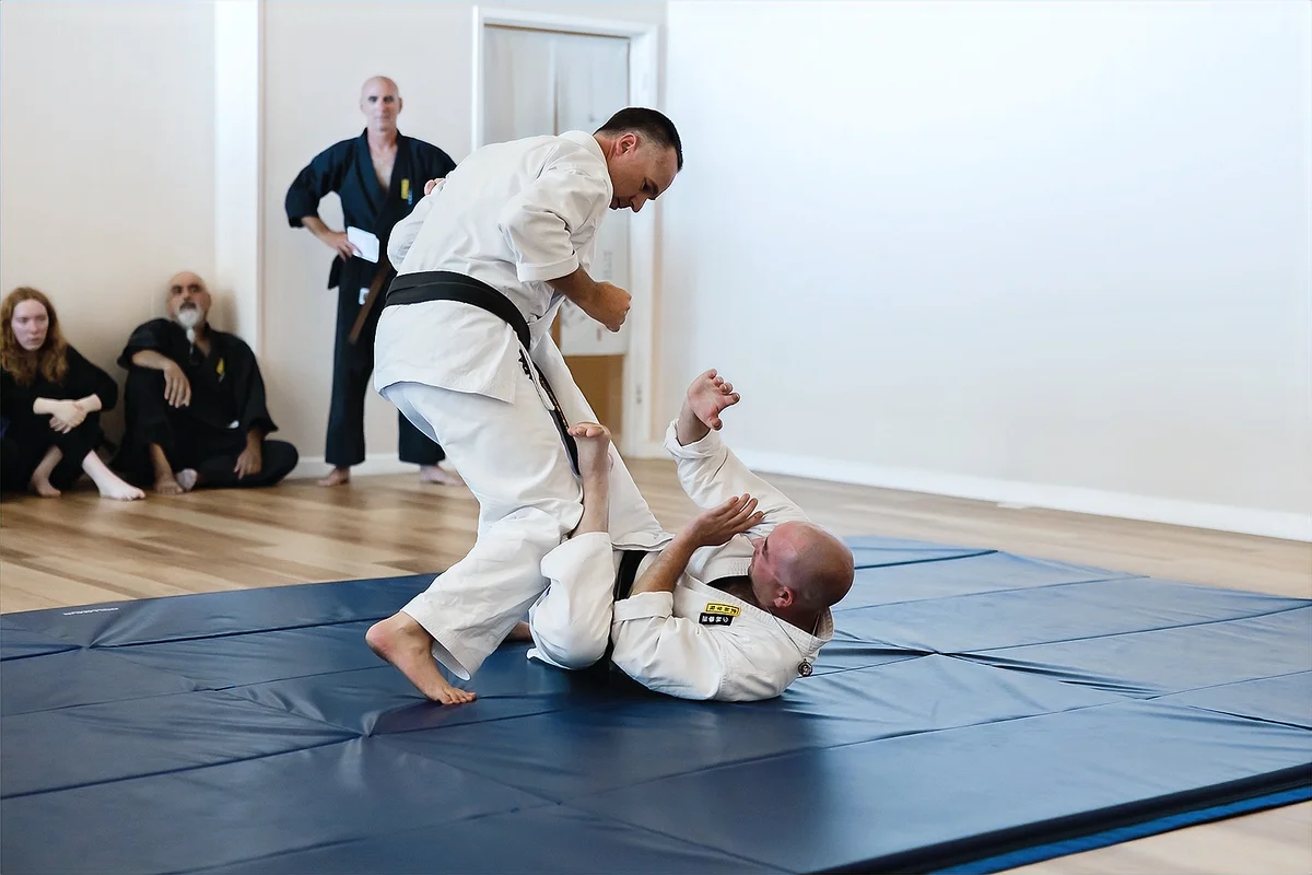The Martial Arts Academy of Marin academy photo
