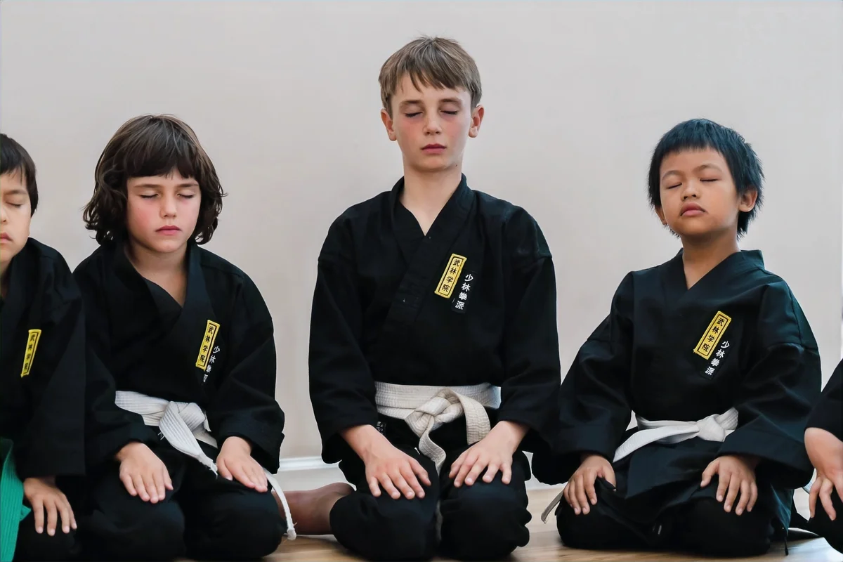 The Martial Arts Academy of Marin academy photo