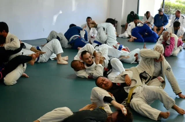 Premier Jiu-Jitsu Academy academy photo