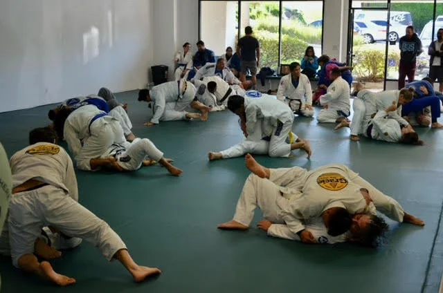 Premier Jiu-Jitsu Academy academy photo