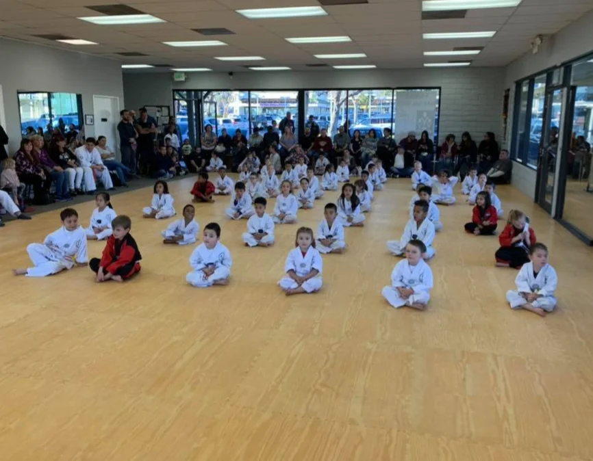 Premier Martial Arts Academy facility image