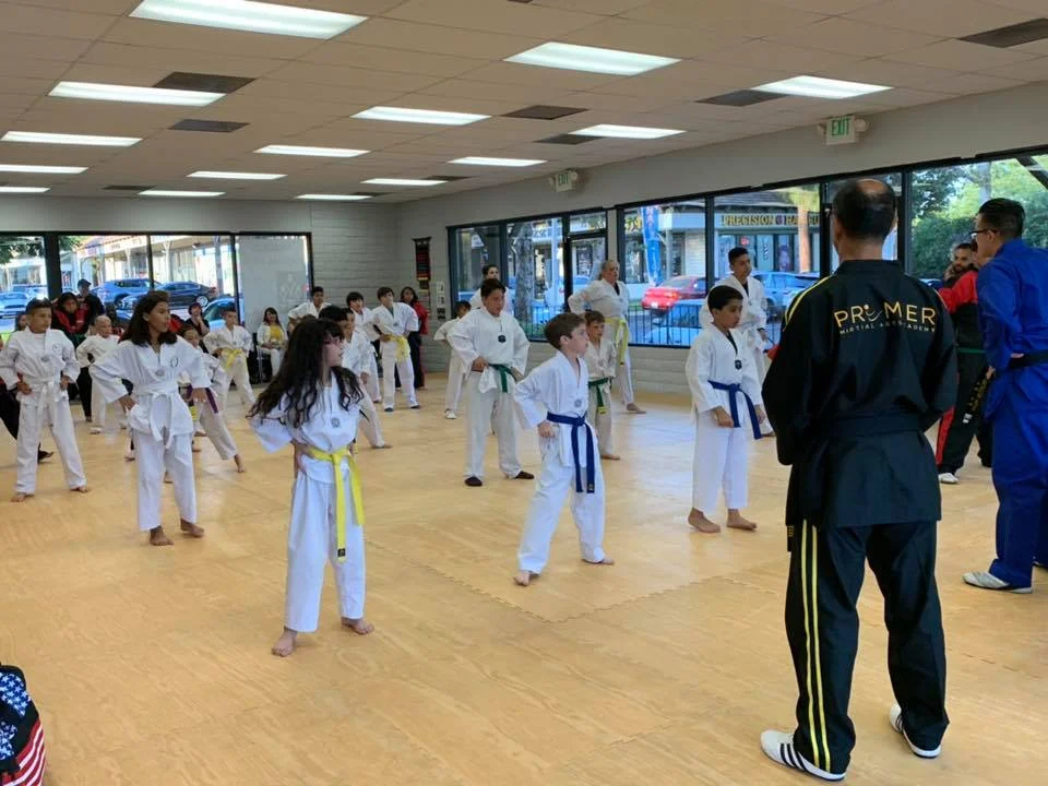 Premier Martial Arts Academy facility image