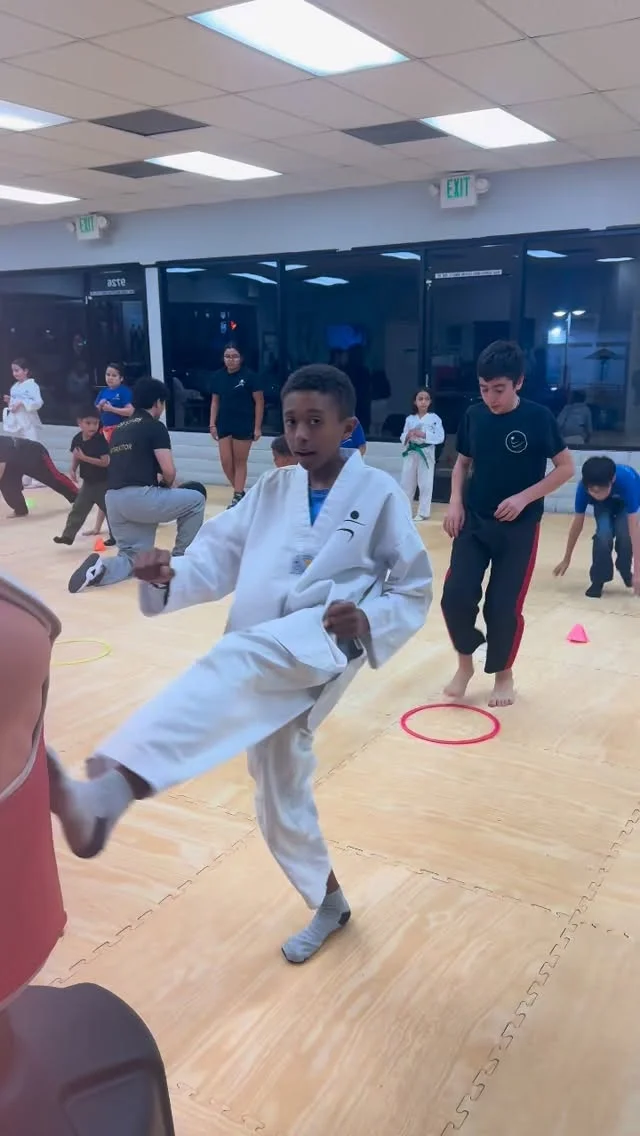 Premier Martial Arts Academy facility image